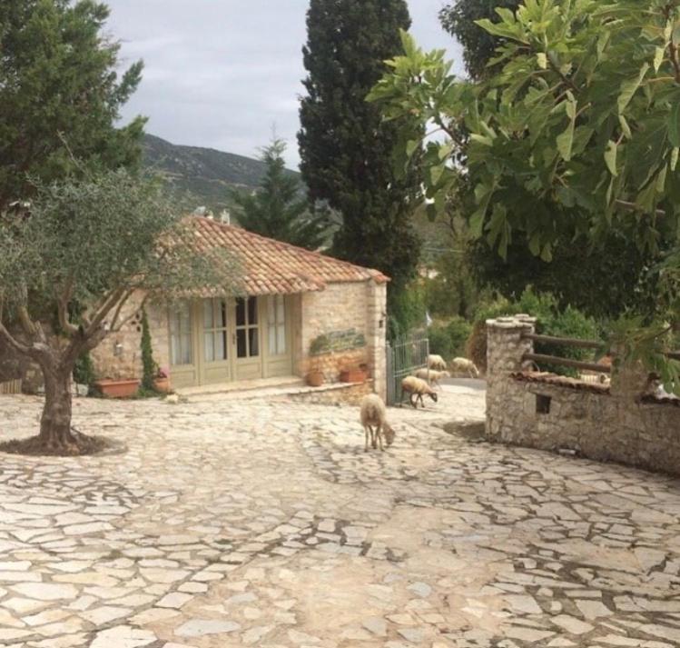 Elaion Guesthouse Elliniko  Exterior photo